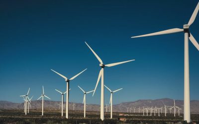 pexels-alfomedeiros-15268778 pexels-alfomedeiros-15268778